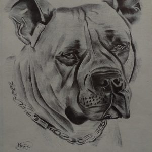 A dog named Remi